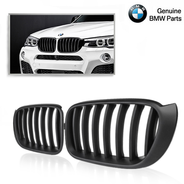Grille M-PERFORMANCE Glanzend zwart BMW X3 F25/X4 F26 bj 14-16.