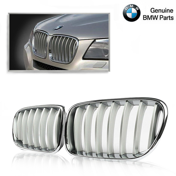 Grille Titaan BMW X3 F25 bj 09-14.